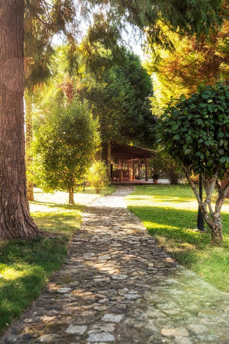 Casa Das Paredes Fafe Eksteriør billede